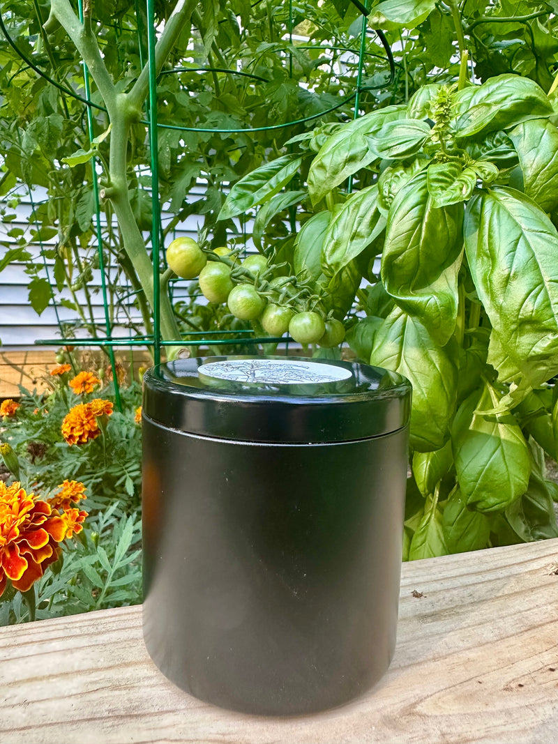Black container with lid on a wooden surface surrounded by green plants and flowers