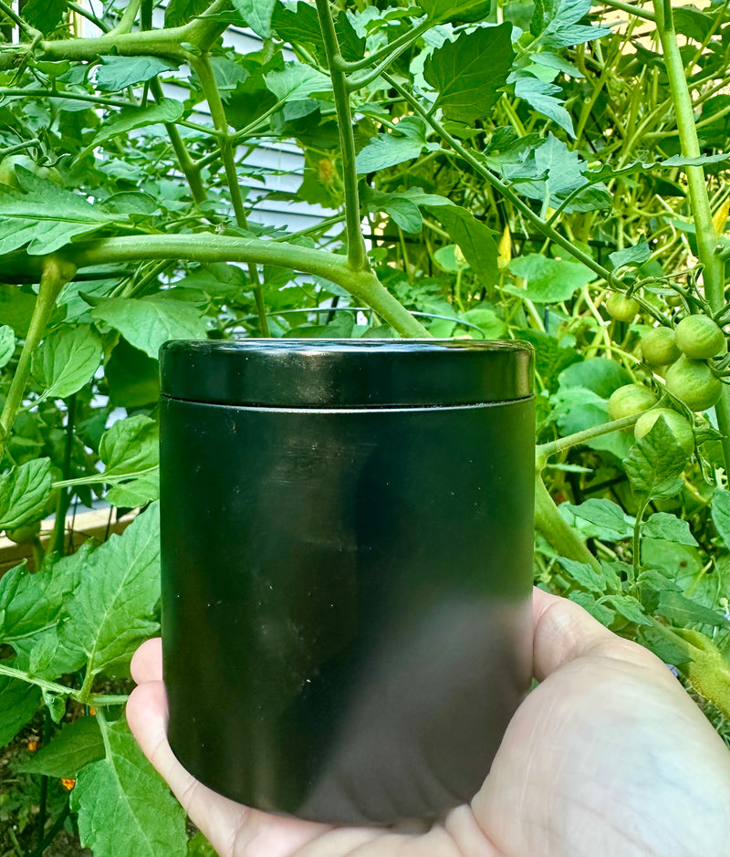 Black container held in front of a green plant with small fruits