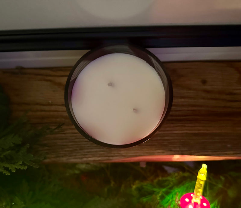 peppermint twist double wicked candle (no mocha in this one!)